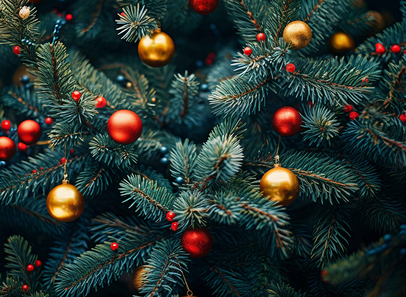 Новости КСК